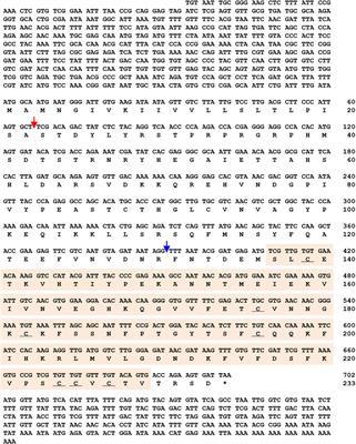 Tenebrio molitor Spätzle 1b Is Required to Confer Antibacterial Defense Against Gram-Negative Bacteria by Regulation of Antimicrobial Peptides